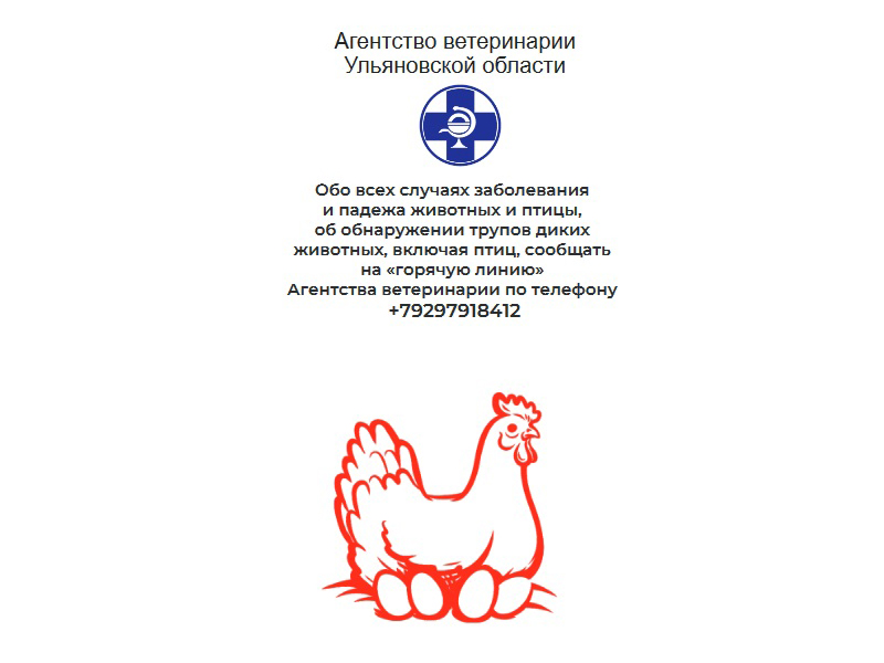 Птичий ГРИПП.